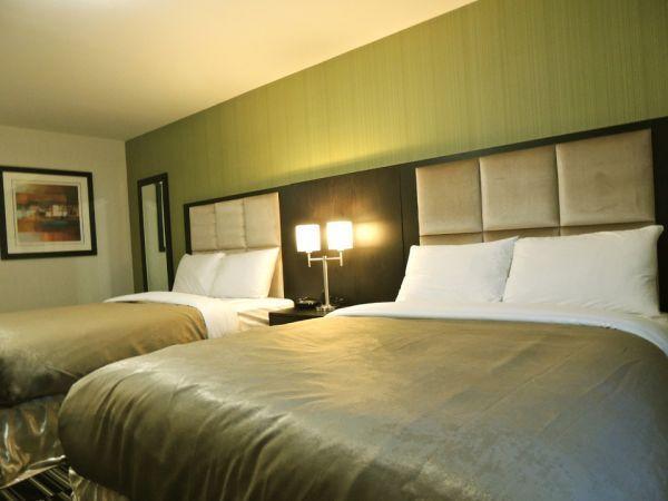 Western Star Inn & Suites Stoughton חדר תמונה